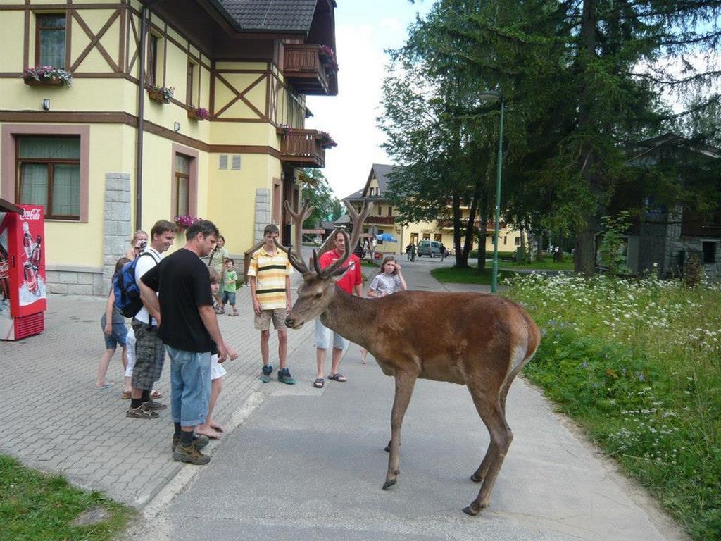 Penzion Vila Park Hotel Tatranská Lomnica Екстериор снимка